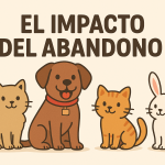 El impacto del abandono: una problemática que afecta a todos